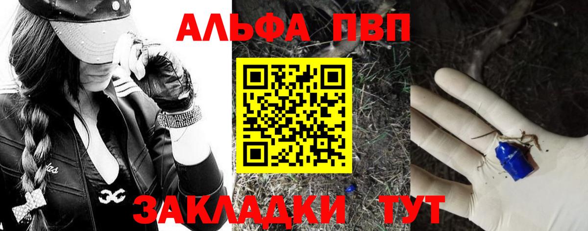 Альфа ПВП СК Фрязино