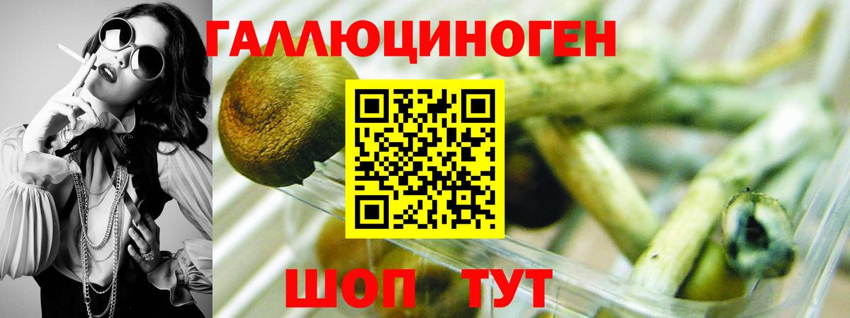 Фрязино  Псилоцибиновые грибы GOLDEN TEACHER  Вход с VPN 